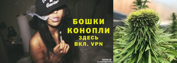 меф Богородицк