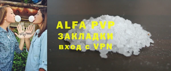 гашик Белокуриха