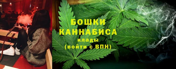 гашик Белокуриха