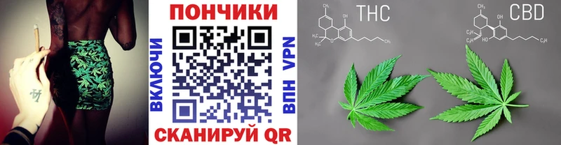 Бошки марихуана Amnesia  сколько стоит  Балахна 